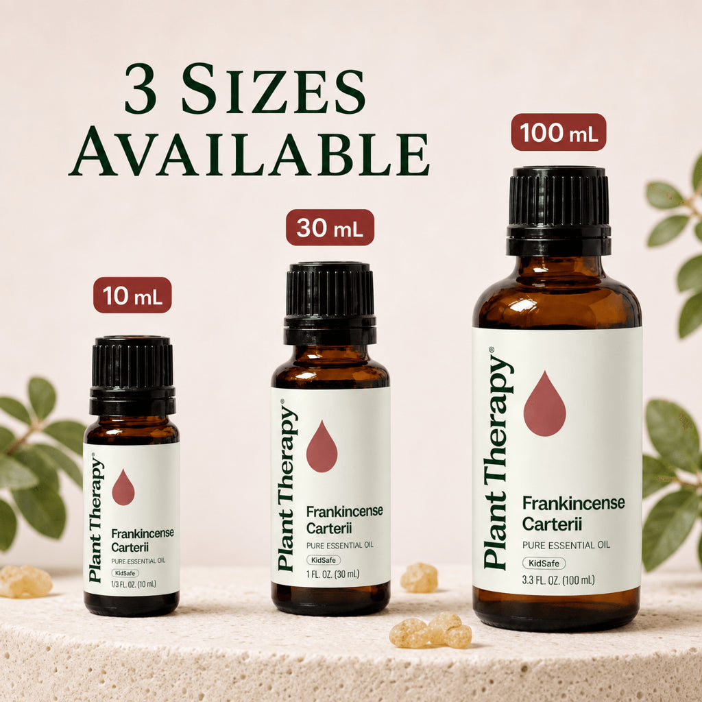 Plant Therapy Frankincense Carterii Essential Oil