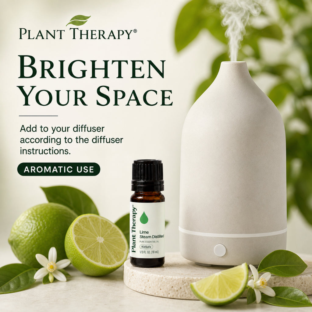 Plant Therapy Lime Steam Distilled Essential Oil