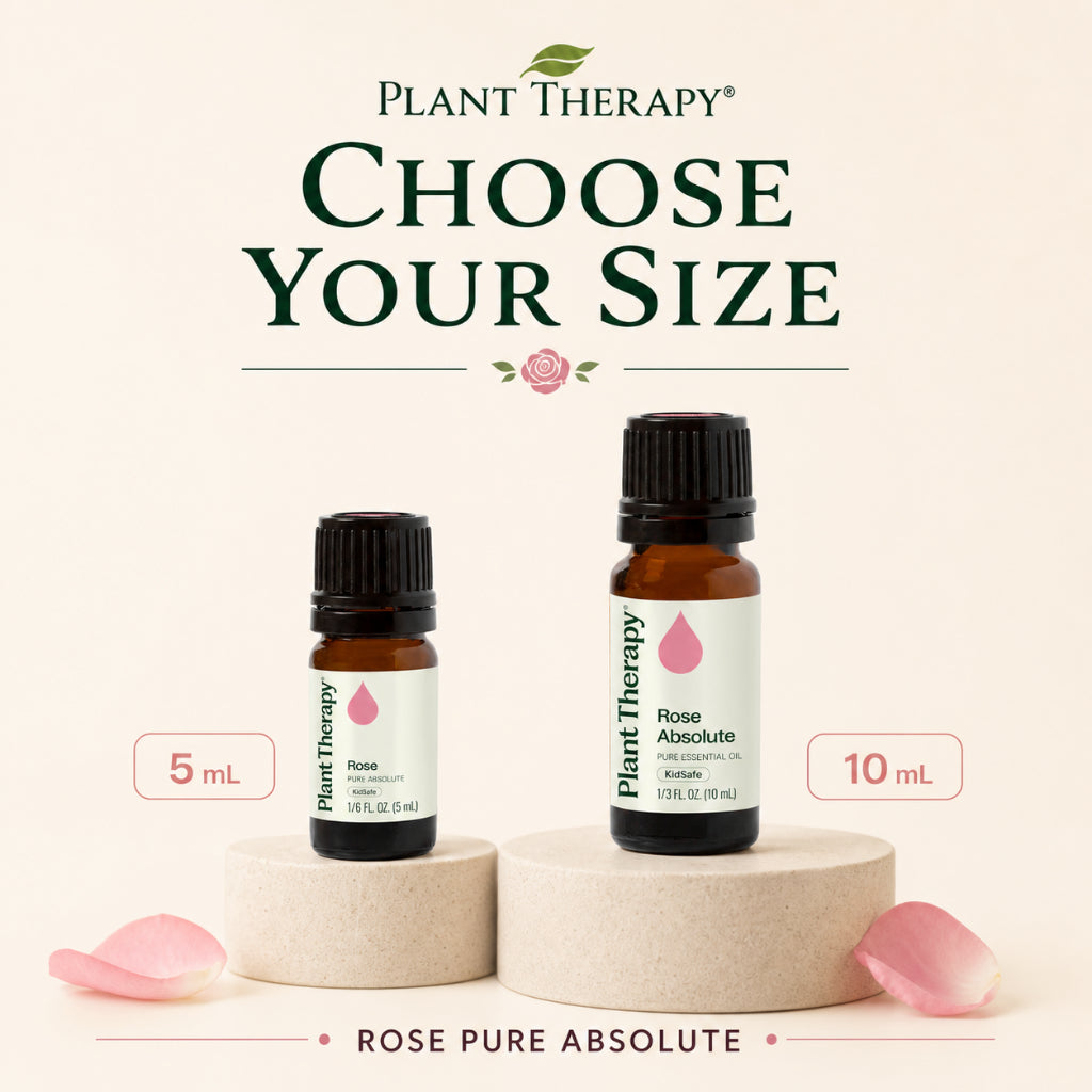Plant Therapy Rose Absolute