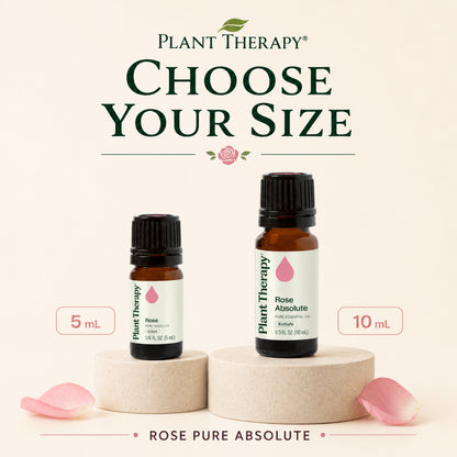 Plant Therapy Rose Absolute