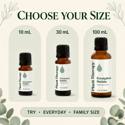 Plant Therapy Eucalyptus Radiata Essential Oil