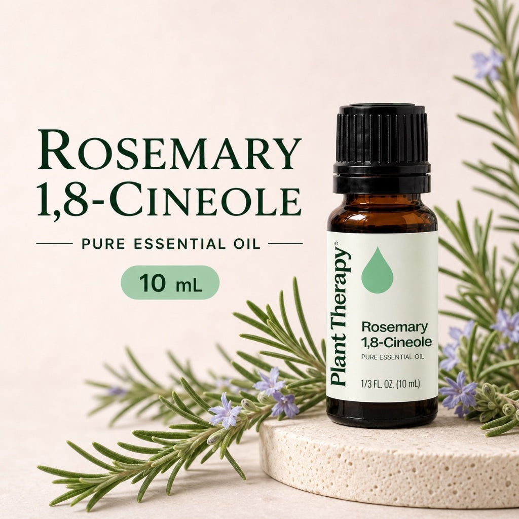 Plant Therapy Rosemary Essential Oil｜Official SG Authorised Distributor