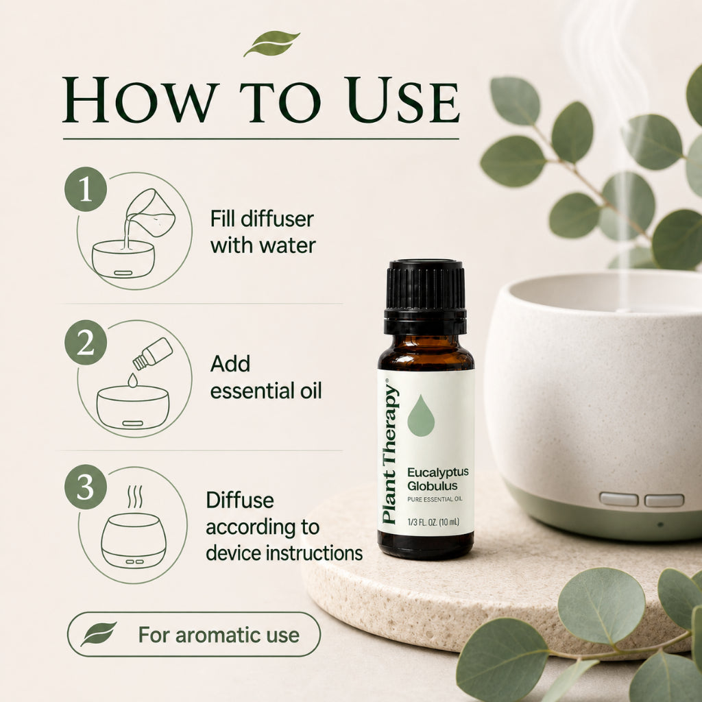 Plant Therapy Eucalyptus Globulus Essential Oil