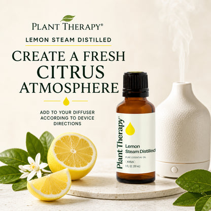 Plant Therapy Lemon Steam Distilled Essential Oil