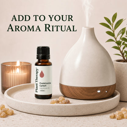 Plant Therapy Frankincense Carterii Essential Oil