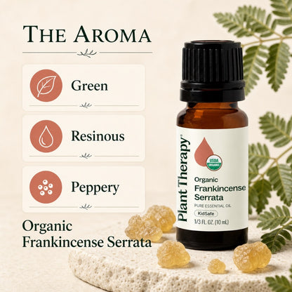 Plant Therapy Organic Frankincense Serrata Essential Oil