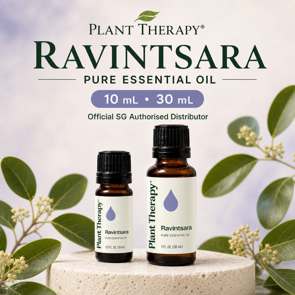 Plant Therapy Ravintsara Essential Oil