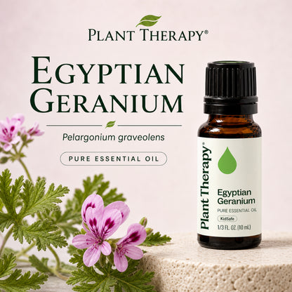 Plant Therapy Geranium Egyptian Essential Oil