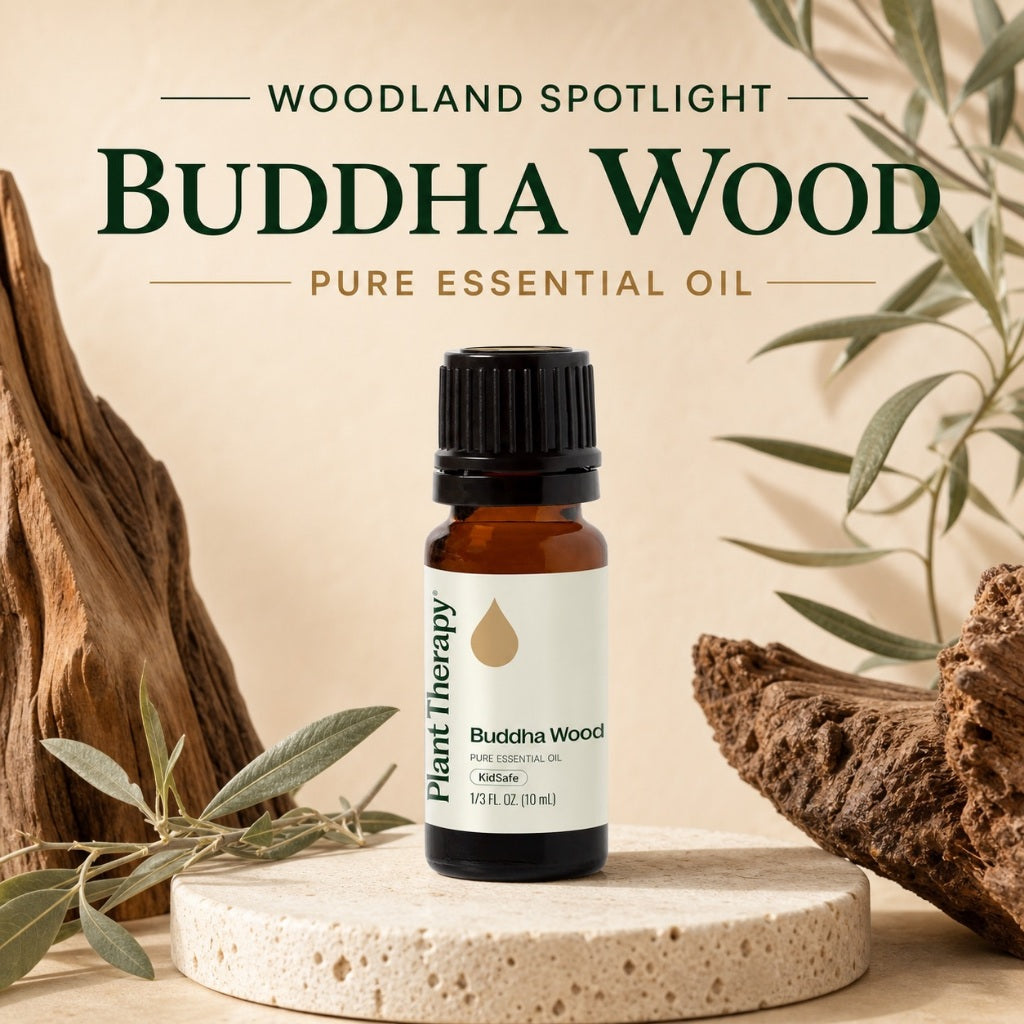 Plant Therapy Buddha Wood Essential Oil