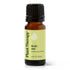 Brain Aid Synergy Essential Oil product image 11 – Nature Therapy Singapore