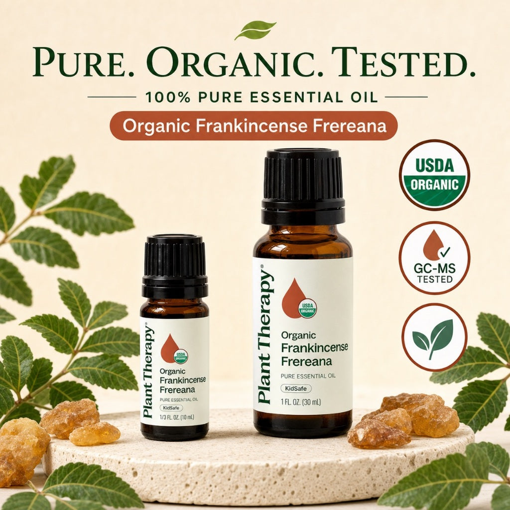Plant Therapy Organic Frankincense Frereana Essential Oil