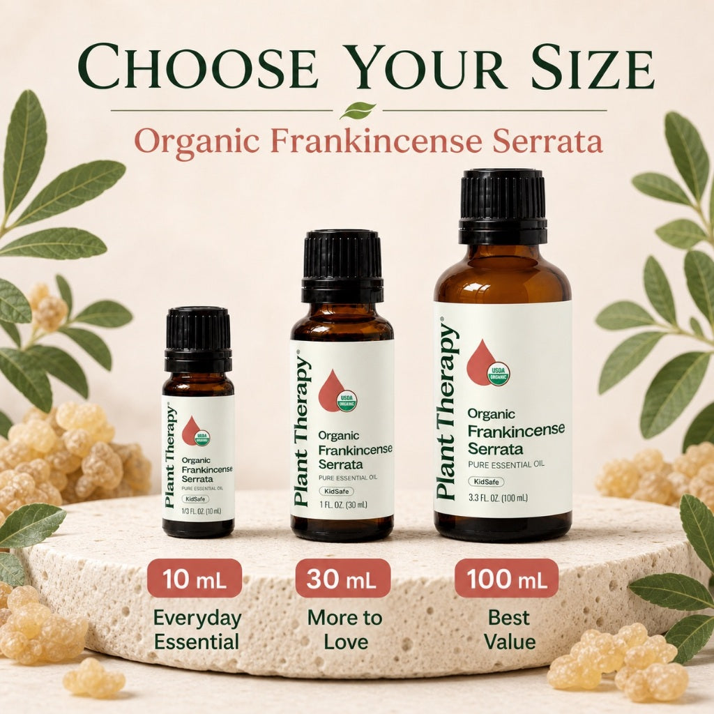 Plant Therapy Organic Frankincense Serrata Essential Oil