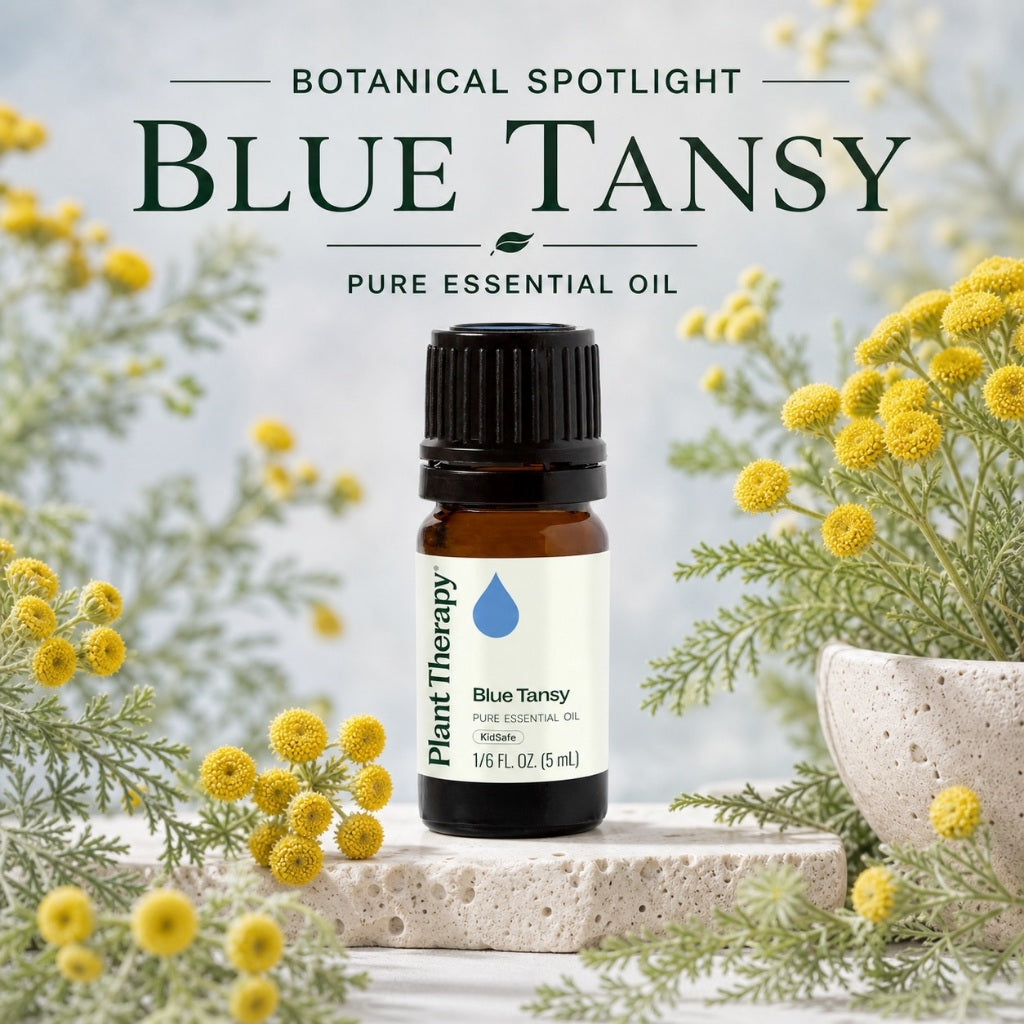 Plant Therapy Blue Tansy Essential Oil