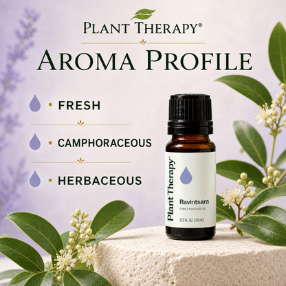 Plant Therapy Ravintsara Essential Oil