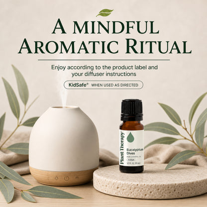 Plant Therapy Eucalyptus Dives Essential Oil