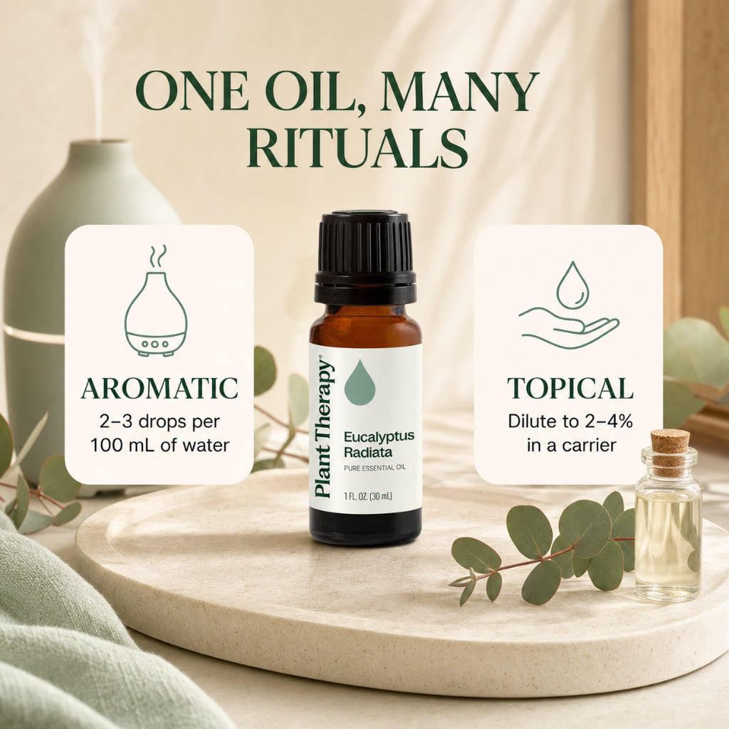 Plant Therapy Eucalyptus Radiata Essential Oil