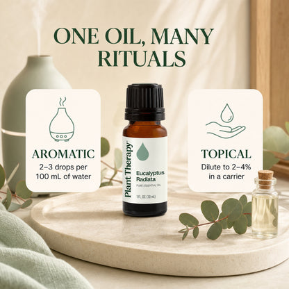 Plant Therapy Eucalyptus Radiata Essential Oil