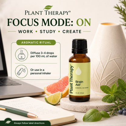 Plant Therapy Brain Aid Synergy Essential Oil