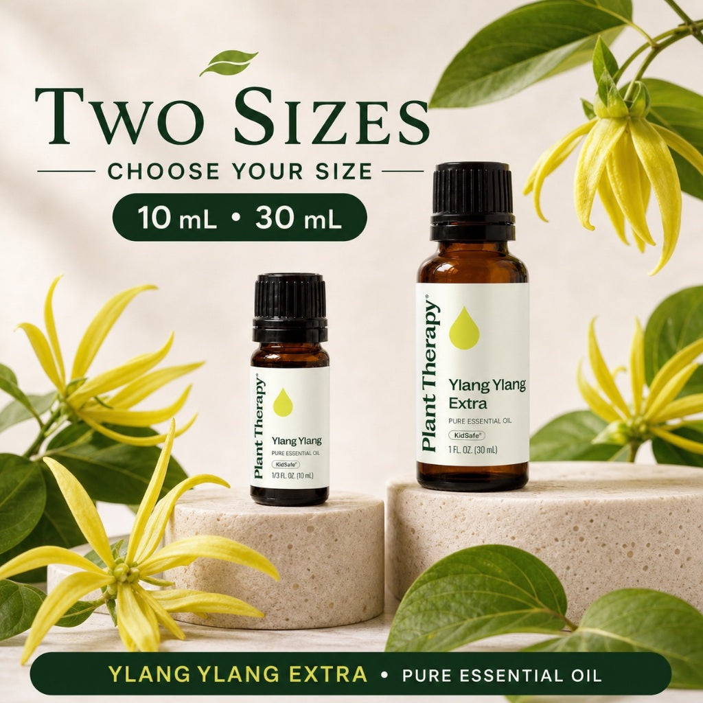 Plant Therapy Ylang Ylang Extra Essential Oil
