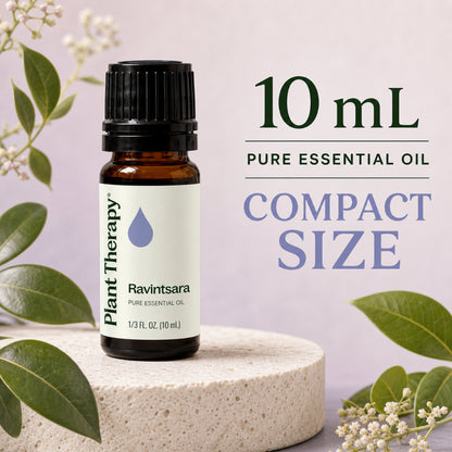 Plant Therapy Ravintsara Essential Oil