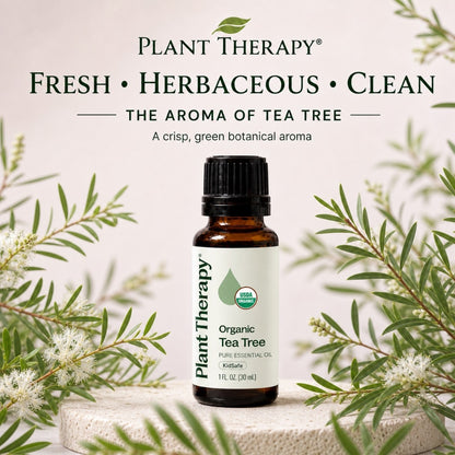 Plant Therapy Organic Tea Tree Essential Oil