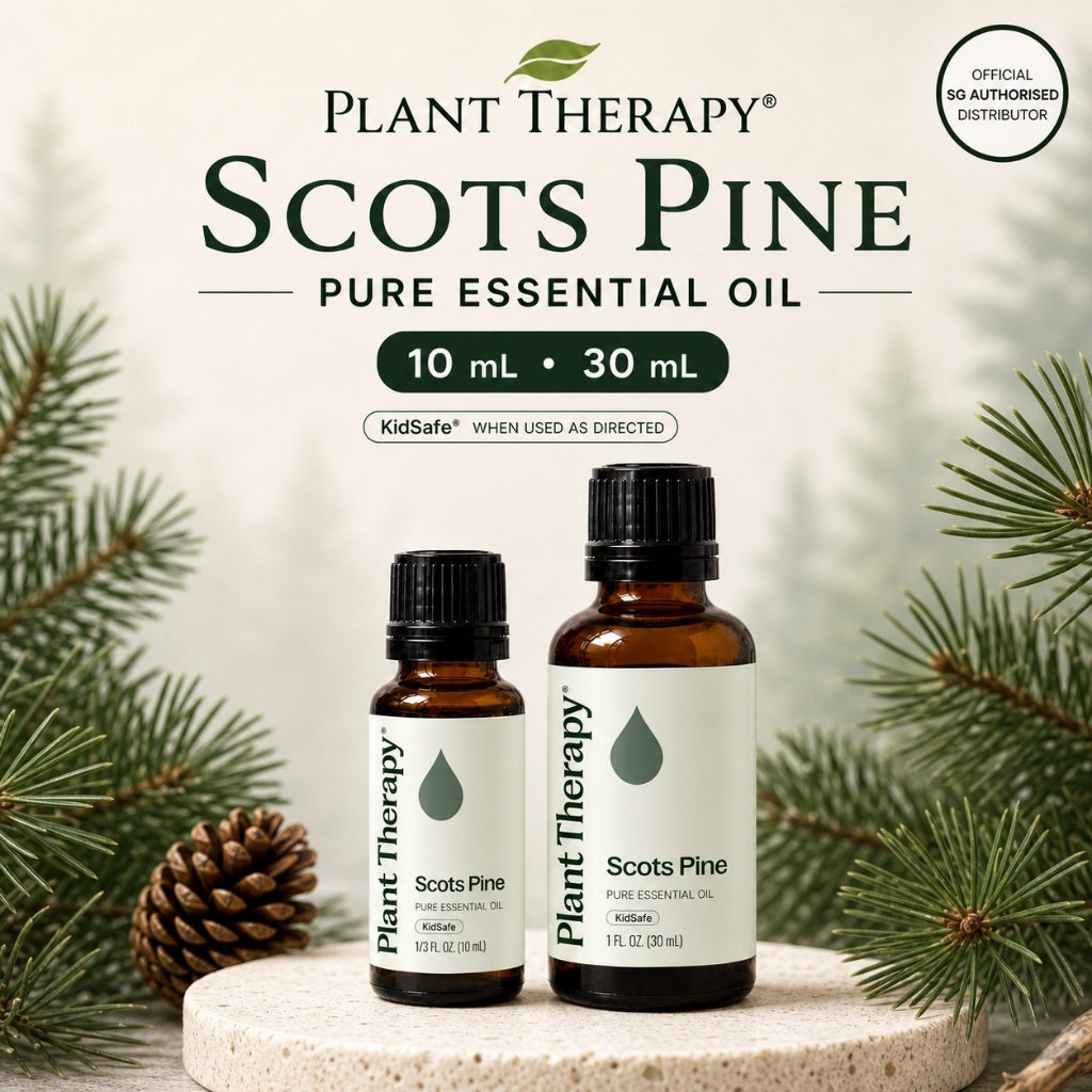 Plant Therapy Scots Pine Essential Oil