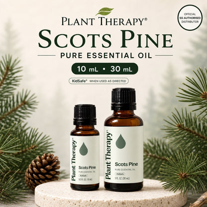 Plant Therapy Scots Pine Essential Oil