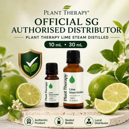 Plant Therapy Lime Steam Distilled Essential Oil