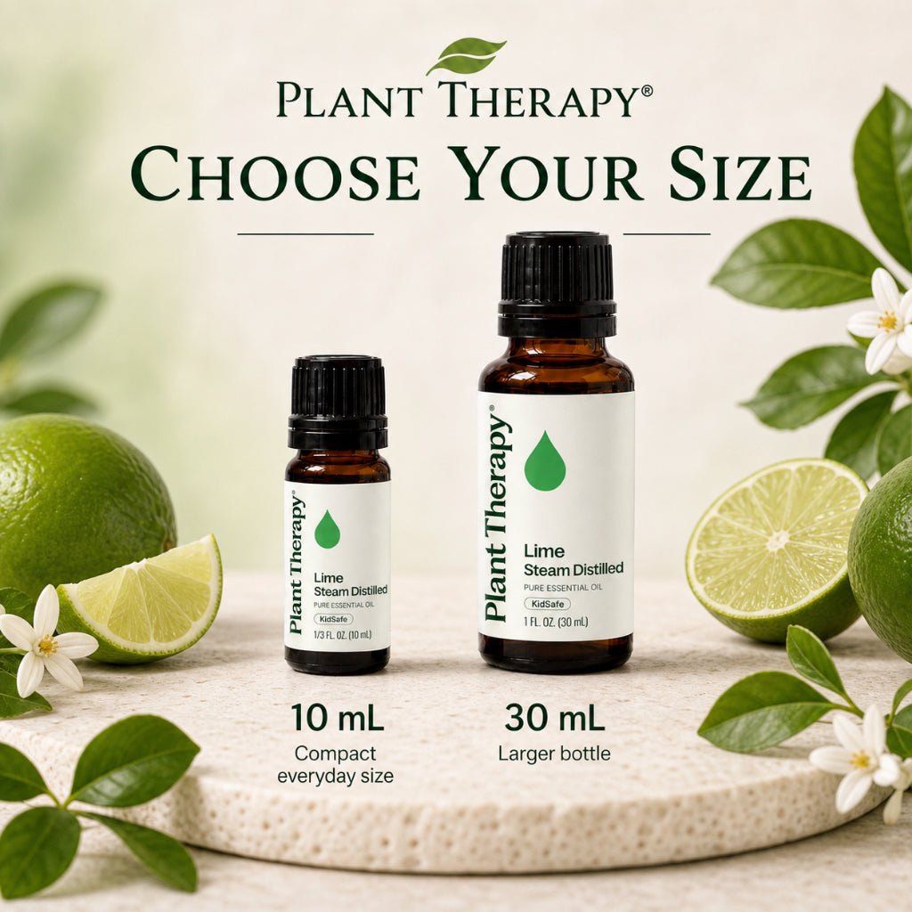 Plant Therapy Lime Steam Distilled Essential Oil
