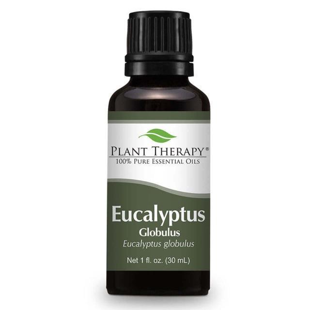 Plant Therapy Eucalyptus Globulus Essential Oil