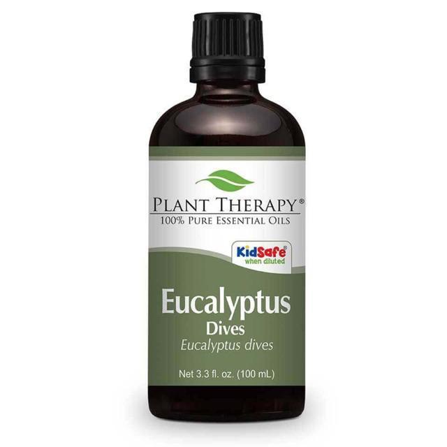 Plant Therapy Eucalyptus Dives Essential Oil