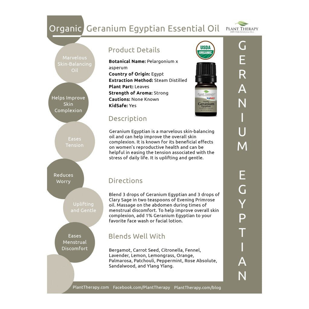 Plant Therapy Geranium Egyptian Organic Essential Oil