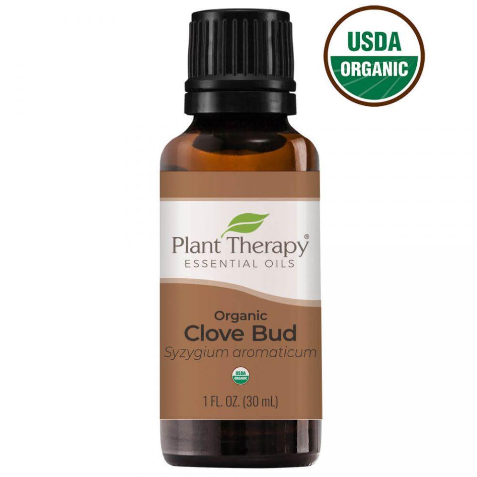 Plant Therapy Clove Bud Organic Essential Oil
